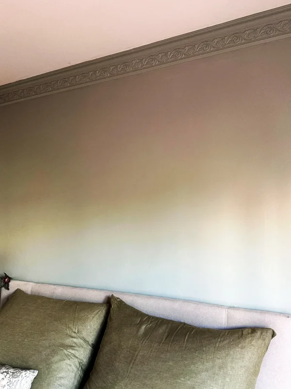 Sanca CARMEN HOMESTAR