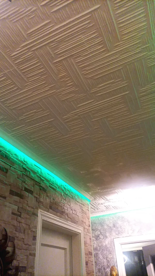 d80-homestar-maria-gemma-31713-es-01