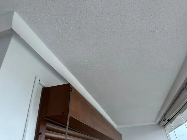 dana-Alejandro-Llaneza-homestar-32204-es-02