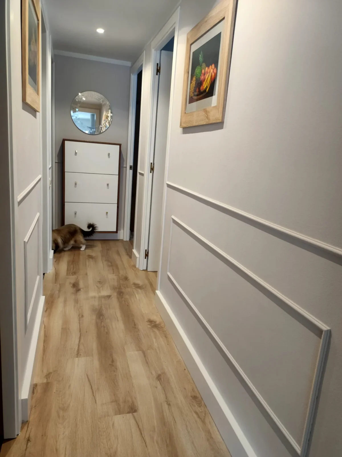 i20-francisco-32312-homestar-es-01