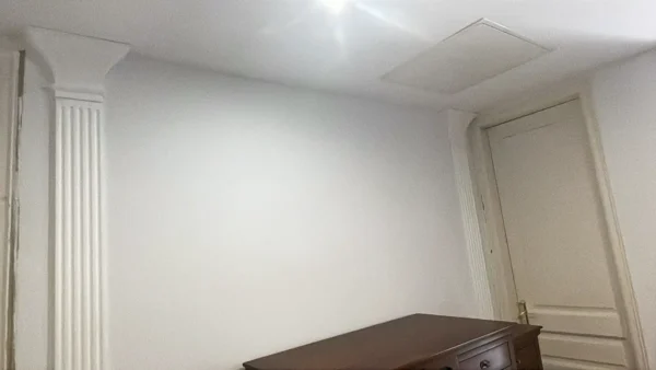 pilastra-chris-pereira-31849-homestar-es-03