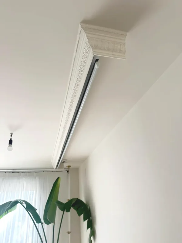 sveta-homestar-hourieh-pourhamid-34113-03