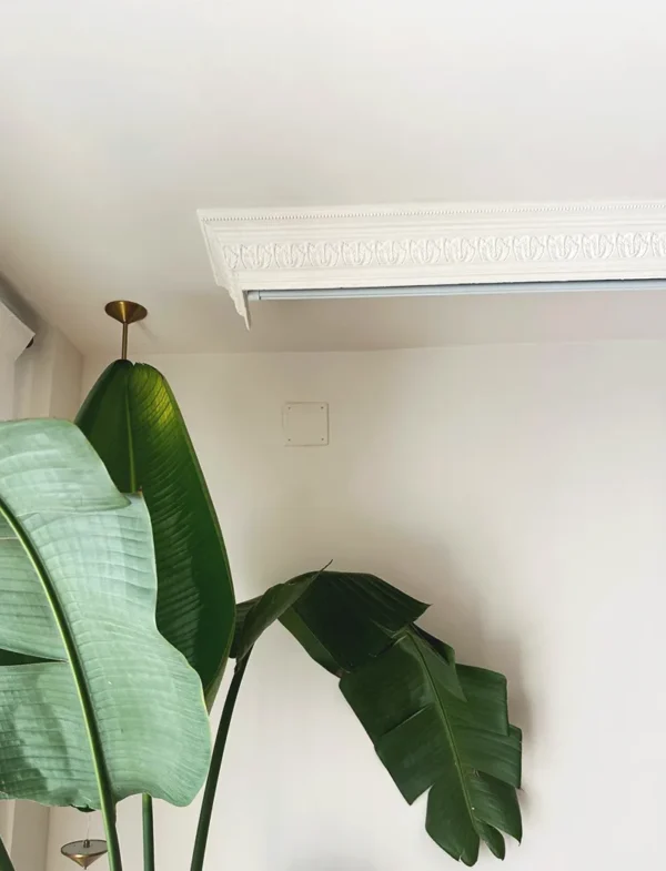 sveta-homestar-hourieh-pourhamid-34113-04