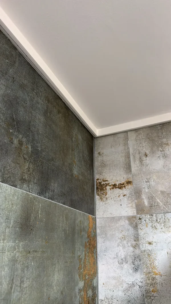 up236_marco-negrinho_18587_homestar_pt_05